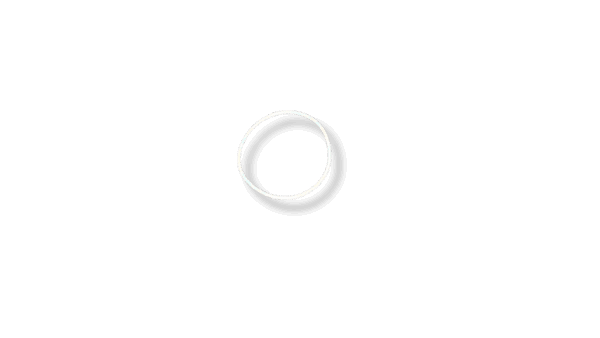 Aspen Laser Retainer Ring