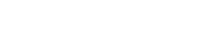 The CEO View