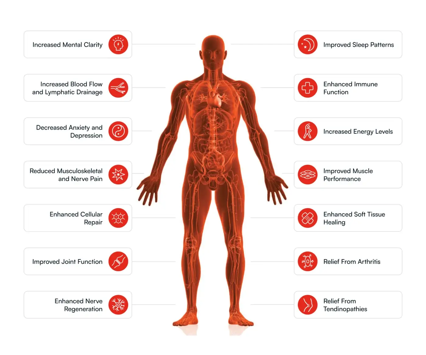 The Human Body during Photobiomodulation therapy and Light Therapy showing benefits for each body part