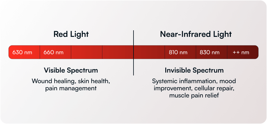 Red Light and Near-Infrared Light Spectrums