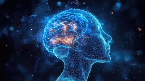 Brain image showing photobiomodulation for brain health