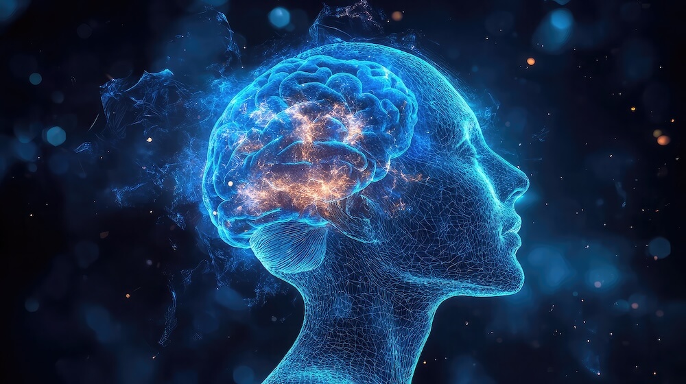 Brain image showing photobiomodulation for brain health